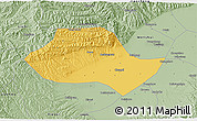 Savanna Style 3D Map of Fenyang