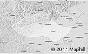 Silver Style 3D Map of Fenyang