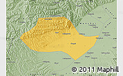 Savanna Style Map of Fenyang