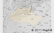 Shaded Relief Map of Fenyang, desaturated
