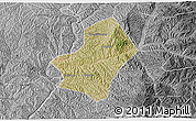 Satellite 3D Map of Liulin, desaturated