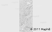 Silver Style 3D Map of Pinglu