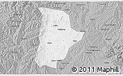 Gray 3D Map of Qin Xian