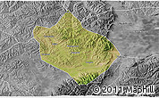 Satellite 3D Map of Shenchi, desaturated