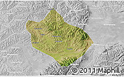 Satellite 3D Map of Shenchi, lighten, desaturated
