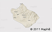 Shaded Relief 3D Map of Shenchi, cropped outside