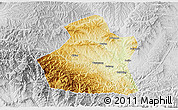 Physical 3D Map of Yangcheng, lighten, desaturated
