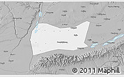 Gray 3D Map of Yongji