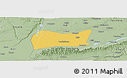Savanna Style Panoramic Map of Yongji