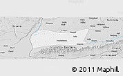 Silver Style Panoramic Map of Yongji