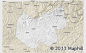 Classic Style 3D Map of Bazhong