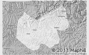 Gray 3D Map of Bazhong