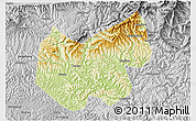 Physical 3D Map of Bazhong, desaturated