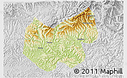 Physical 3D Map of Bazhong, lighten, desaturated