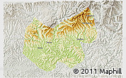 Physical 3D Map of Bazhong, lighten, semi-desaturated
