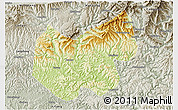 Physical 3D Map of Bazhong, semi-desaturated