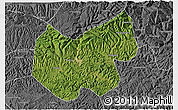 Satellite 3D Map of Bazhong, desaturated