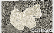 Shaded Relief 3D Map of Bazhong, darken