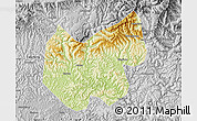 Physical Map of Bazhong, desaturated