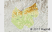Physical Map of Bazhong, lighten, semi-desaturated