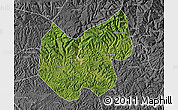 Satellite Map of Bazhong, desaturated