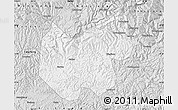 Silver Style Map of Bazhong