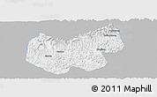 Gray Panoramic Map of Bazhong, single color outside
