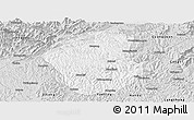 Silver Style Panoramic Map of Jiange