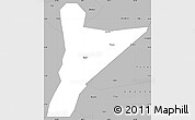 Gray Simple Map of Jinyang