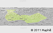 Physical Panoramic Map of Nanbu, desaturated