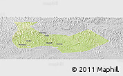 Physical Panoramic Map of Nanbu, lighten, desaturated