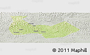 Physical Panoramic Map of Nanbu, lighten, semi-desaturated