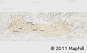 Shaded Relief Panoramic Map of Nanbu, lighten