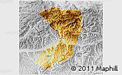 Physical 3D Map of Nanjiang, lighten, desaturated