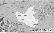 Gray 3D Map of Qianwei