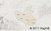 Shaded Relief 3D Map of Qianwei, lighten