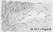 Silver Style 3D Map of Qionglai