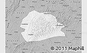 Gray Map of Rong Xian