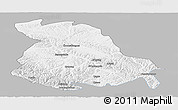 Gray Panoramic Map of Serxu, single color outside