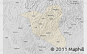 Shaded Relief 3D Map of Yanting, desaturated