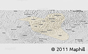 Shaded Relief Panoramic Map of Yanting, desaturated