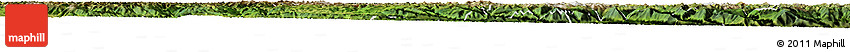 Satellite Horizon Map of Zamtang