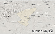 Shaded Relief 3D Map of Zigong Shiqu, semi-desaturated