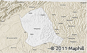 Classic Style 3D Map of Zitong