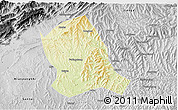 Physical 3D Map of Zitong, desaturated