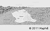 Gray Panoramic Map of Zitong