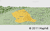 Savanna Style Panoramic Map of Zitong