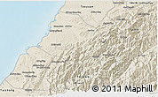 Shaded Relief 3D Map of Xinzhu