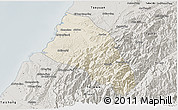 Shaded Relief 3D Map of Xinzhu, semi-desaturated