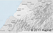 Silver Style 3D Map of Xinzhu